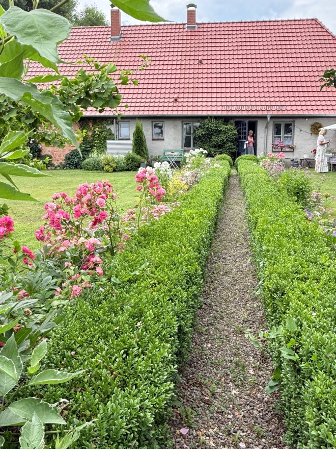 Ein schmaler Weg zwischen niedrigen Buchsbaumhecken führt auf das Landhaus Gutleben zu, links blühen Rosen, vor dem Haus stehen Gartenstühle.