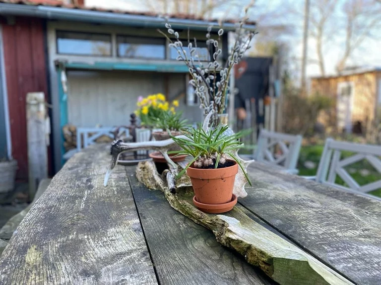 Ein verwitterter Holztisch draußen am Landhaus Gutleben, darauf ein Tontopf mit Frühlingsblumen und ein Strauß Weidenkätzchen.